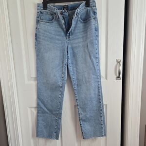 J. Crew Blue Ankle Cropped Jeans, Length 26½. Size 29